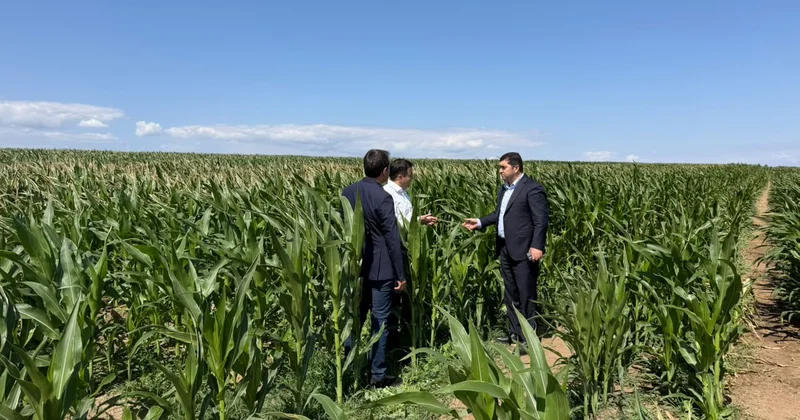 Azad edilmiş ərazilərdə aqrar təsərrüfatlara baxış keçirildi Fotolar