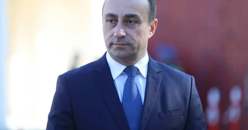 Gürcüstan DTX nın rəhbəri istefa verib