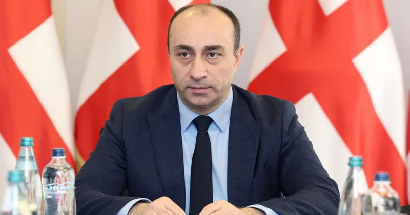 Gürcüstan DTX nin rəhbəri postundan getdi Nazir müavini olacaq Yenilənib