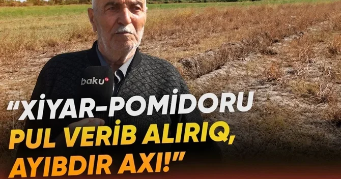 Əkin sahələri susuzluqdan məhv olan sakinlər şikayətçidir