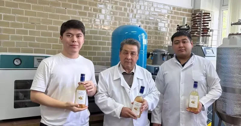 Новый фито напиток разработали казахстанские ученые