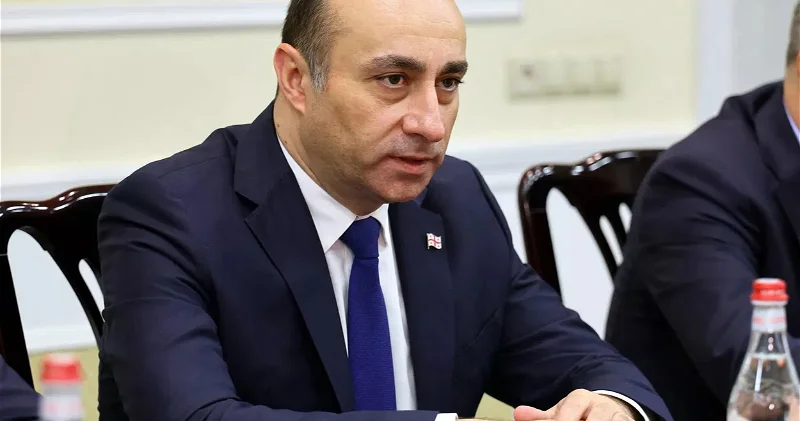 Глава СГБ Грузии подал в отставку, получил новое назначение ОБНОВЛЕНО