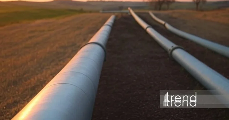 Rystad Energy о влиянии закрытия нефтепровода East West на мировой рынок нефти