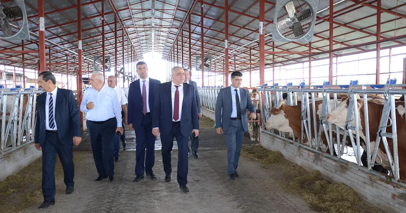 Kürdəmirdə aqroparklarda və iri fermer təsərrüfatlarında monitorinq Fotolar
