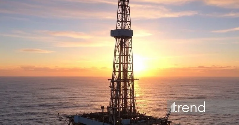 МЭА обновило прогнозы по мировым поставкам нефти