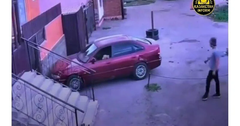 Кошка за рулем автомобиля устроила ДТП в Казахстане ВИДЕО
