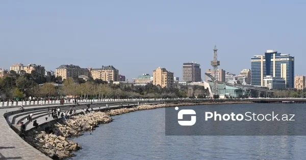 В Бакинской бухте проводятся масштабные работы по очистке водной поверхности от загрязнений