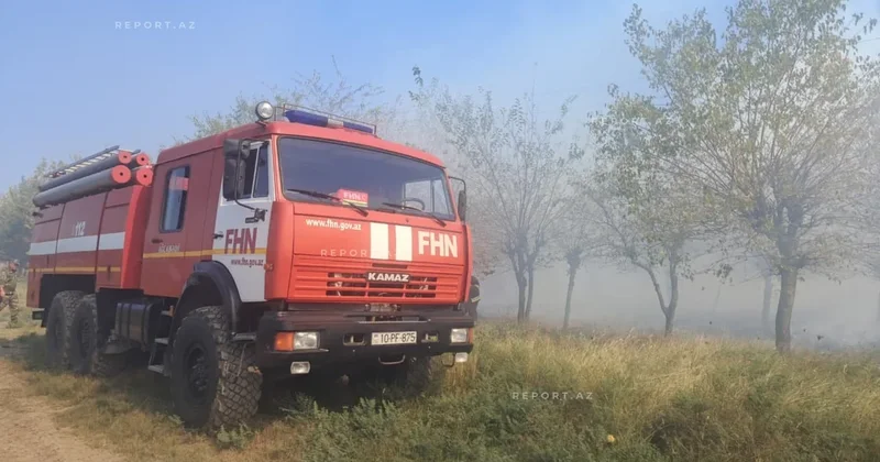 Ağcabədidəki yanğın məhdudlaşdırıldı FOTOLAR KONKRET