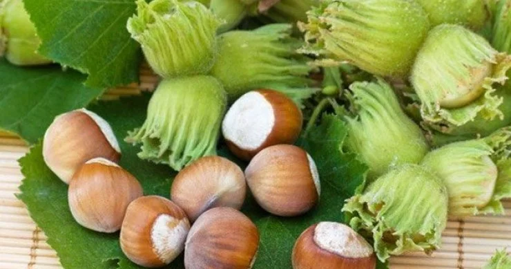FINDIĞIN QİYMƏTİ 10 İLDİR NİYƏ ARTMIR? İqtisadçı səbəbləri açıqladı