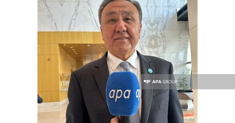 TDT Baş katibi: Beş türk dövləti arasında şəxsiyyət vəsiqəsi ilə səfər mümkün olacaq