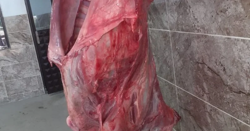 Mərakeşdə ət qıtlığı yaranır