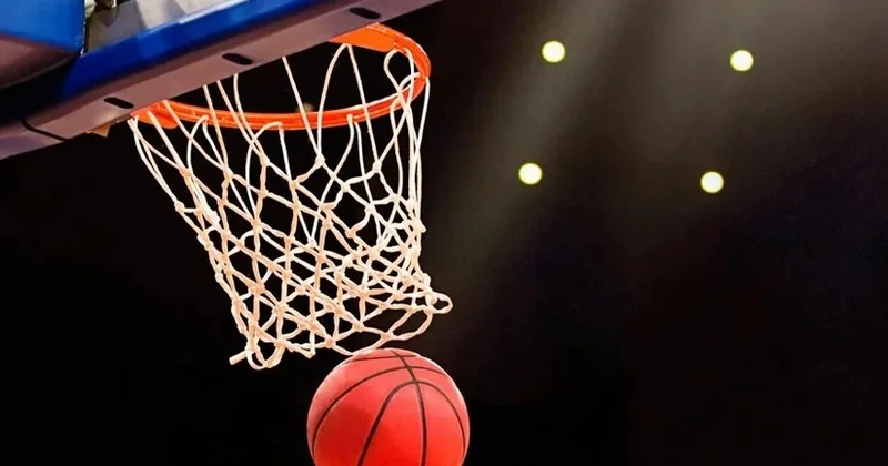 Landau Lions ÇL də mübarizəni dayandırdı