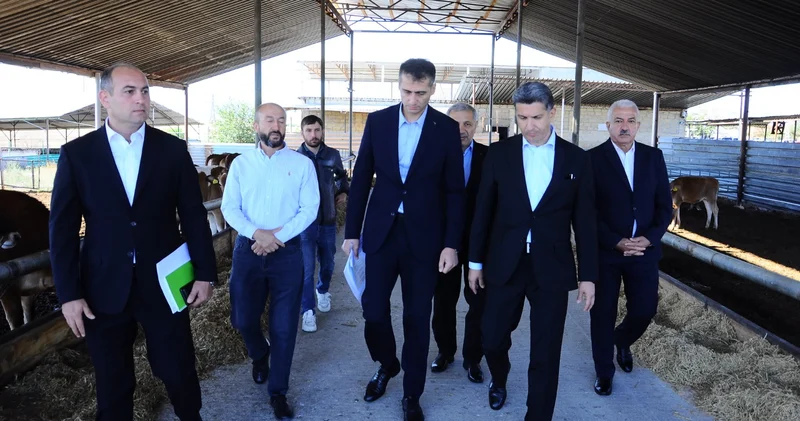 Göygöldə aqrar sektor canlanır: yeni layihələr həyata keçirilir