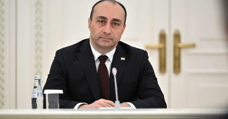 Гека Геладзе подал в отставку с поста руководителя СГБ Грузии