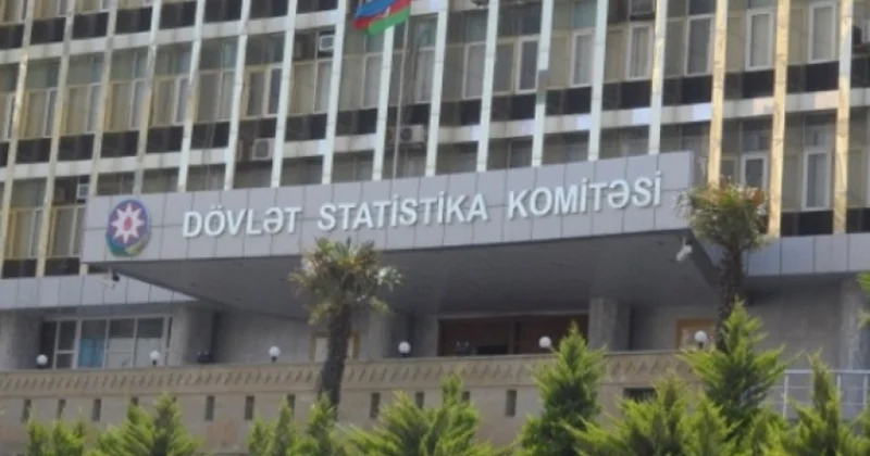 Cari ildə statistik vahidlərin sayı 5 faizədək artıb