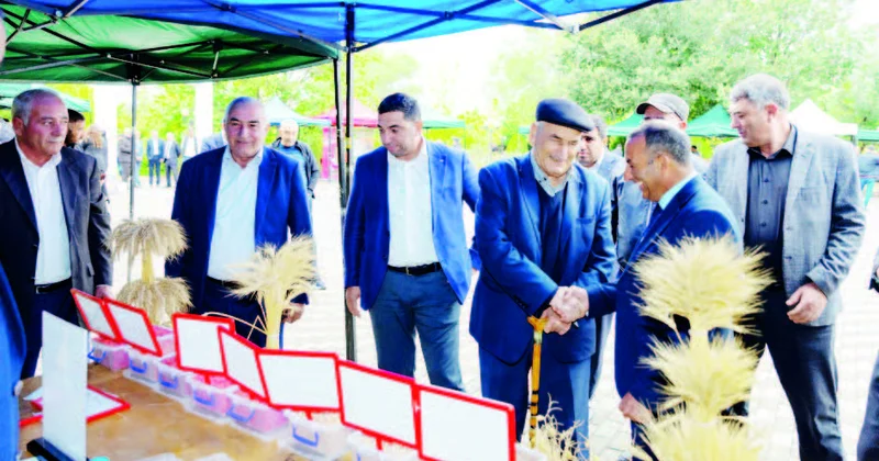 Qobustanın dəmyə buğda çörəyi