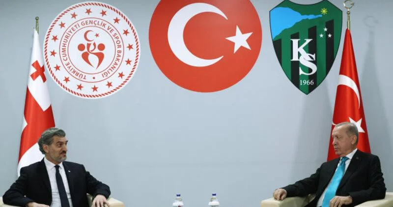 Ərdoğan Gürcüstan Prezidenti ilə görüşdü