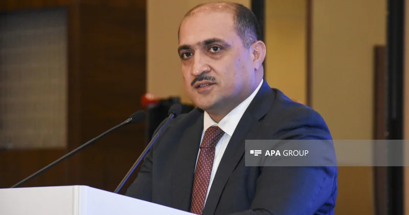 Nazir müavini: Hər il təhsilə, təxminən, 5 milyard manat ayrılır