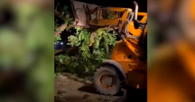 Lənkəran Lerik avtomobil yolundakı problem aradan qaldırıldı VİDEO