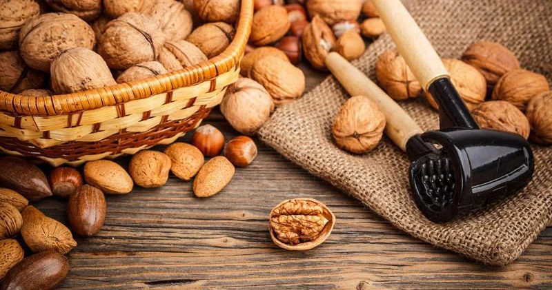 Ürəyimizi qoruya, xərçəngin qarşısını ala bilər Qozun faydaları