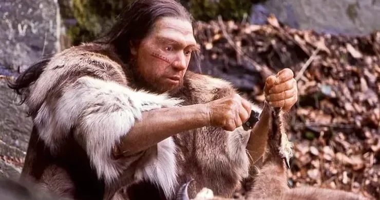 Neandertalların ağac emalı bacarığına dair yeni dəlillər tapıldı