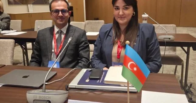 Azərbaycan HOTREC və Hotelstars İttifaqının Baş Assambleyalarına qatılıb