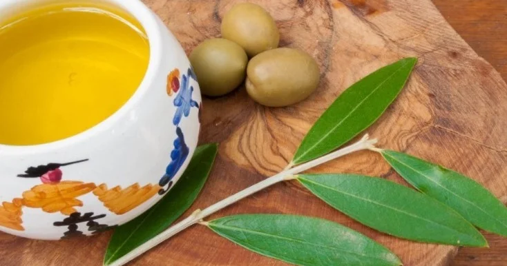 Zeytun yarpağı çayının 12 möcüzəsini bilmirsiniz Dərmanlardan 10 qat yüksək təsirli