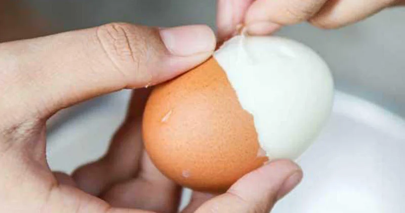 Yumurta qabığını atmayın Bu faydaları var