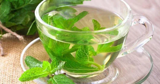 Nanə çayının faydaları