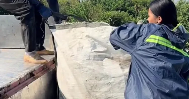 Zibil çeşidləyən qadın model olmaq təkliflərini rədd ETDİ