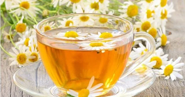 Narahatlığı azaldan, menstrual ağrıları aradan qaldıran Çobanyastığı