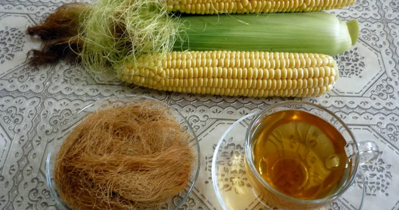 Görün qarğıdalı saçağı hansı xəstəliklərin dərmanıdı Heç vaxt atmayın!