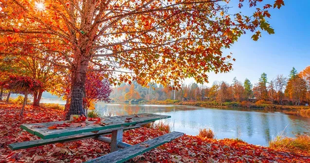 Ölkə ərazisinə isti hava kütlələri daxil olub Temperatur yüksəlir