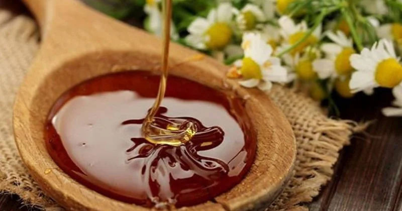 Bal və çobanyastığı Möcüzəsi nələrdir?