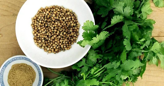 Keşniş toxumu. EV HƏKİMİ
