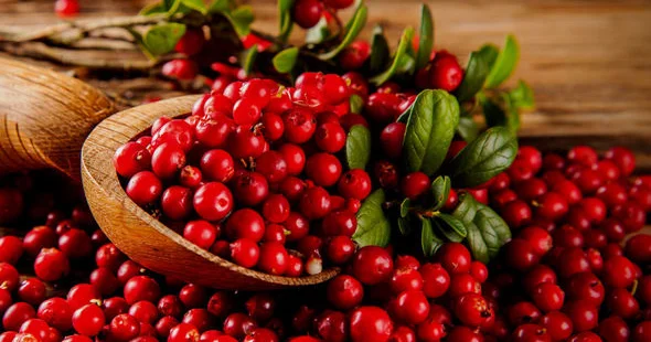 Soyuqdəymənin dərmanı olan quşüzümünün daha bir faydası