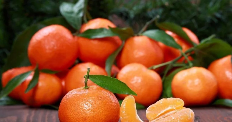 Gözəl və gənc dəri üçün naringi yeyin