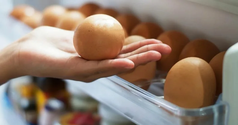 Yumurtanın saxlanma müddəti neçə gündür? DÜZGÜN SAXLANMA QAYDASI
