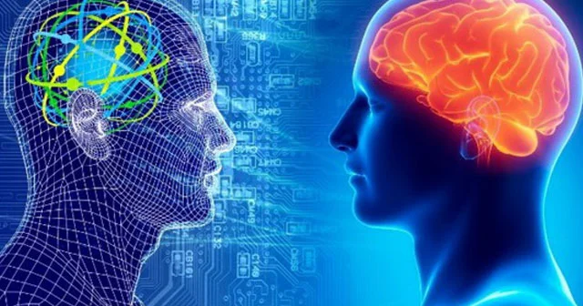 Yaddaşı yaxşılaşdıran, depressiyanı dəf edən 3 MÖCÜZƏ