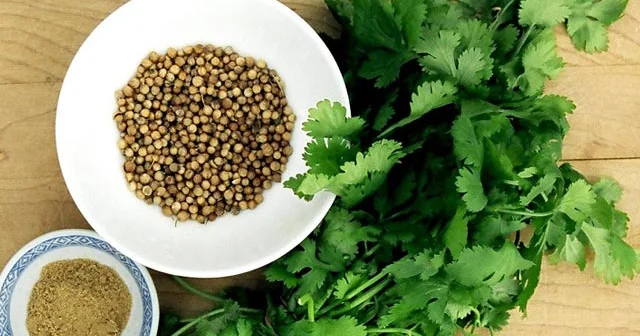 Ürəktutma, iflic və stressdən uzaq olacaqsınız KEŞNİŞ TOXUMUNUN FAYDALARI