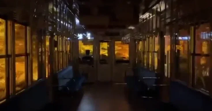 В Японии создали необычное осеннее зрелище ВИДЕО
