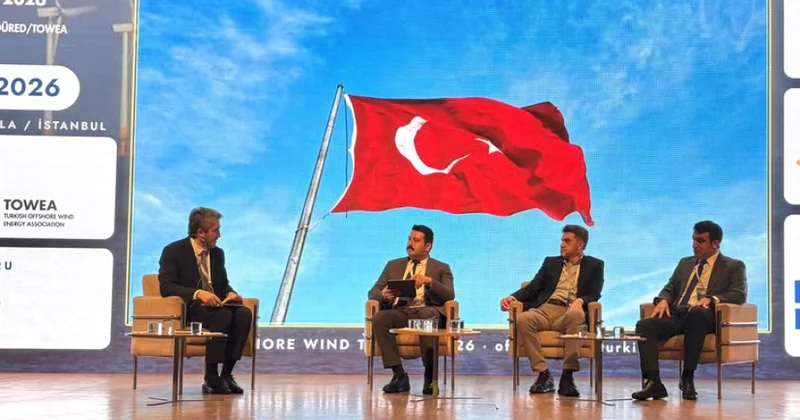 Şöbə müdiri: Azərbaycanın dənizdə külək enerjisi potensialı yaşıl enerji ixracı hədəfləri baxımından mühümdür