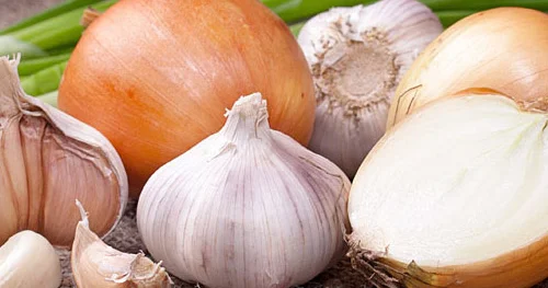Soğan sarımsaqdan hazırlanmış məlhəm müasir antibiotiklərdən güclü çıxdı