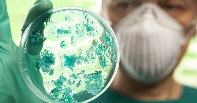 Koronavirus, qripp və soyuqdəymədən qoruyan sadə qaydalar. Tanınmış professor izah edir