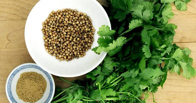 Təzyiqi və şəkəri salan, qaraciyəri təmizləyən göyərti. 3 faydalı resept
