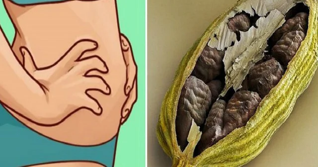 Ölümdən başqa hər şeyə çarə olan Hil çayı