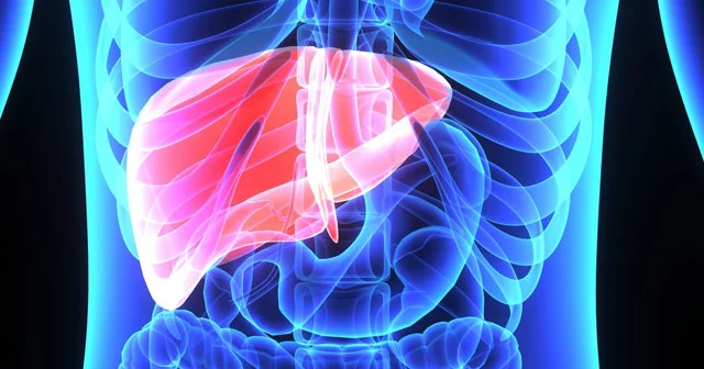 Bu 5 MƏHSULun gündəlik qəbulu QARACİYƏRinizi sağlam edəcək