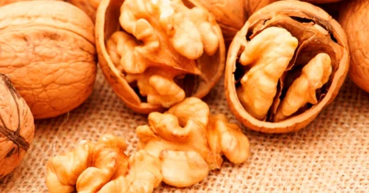 Damarları təmizləyən, qurdları öldürən, yaraları sağaldın QOZ QABIQLARININ DƏMLƏMƏSİ