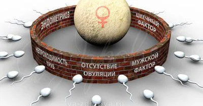 Qadında immunoloji sonsuzluq