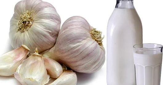 Süddə 2 baş sarımsaq bişirin və ... Məşhur resept